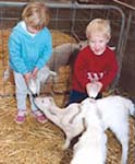 HAHNDORF FARM BARN